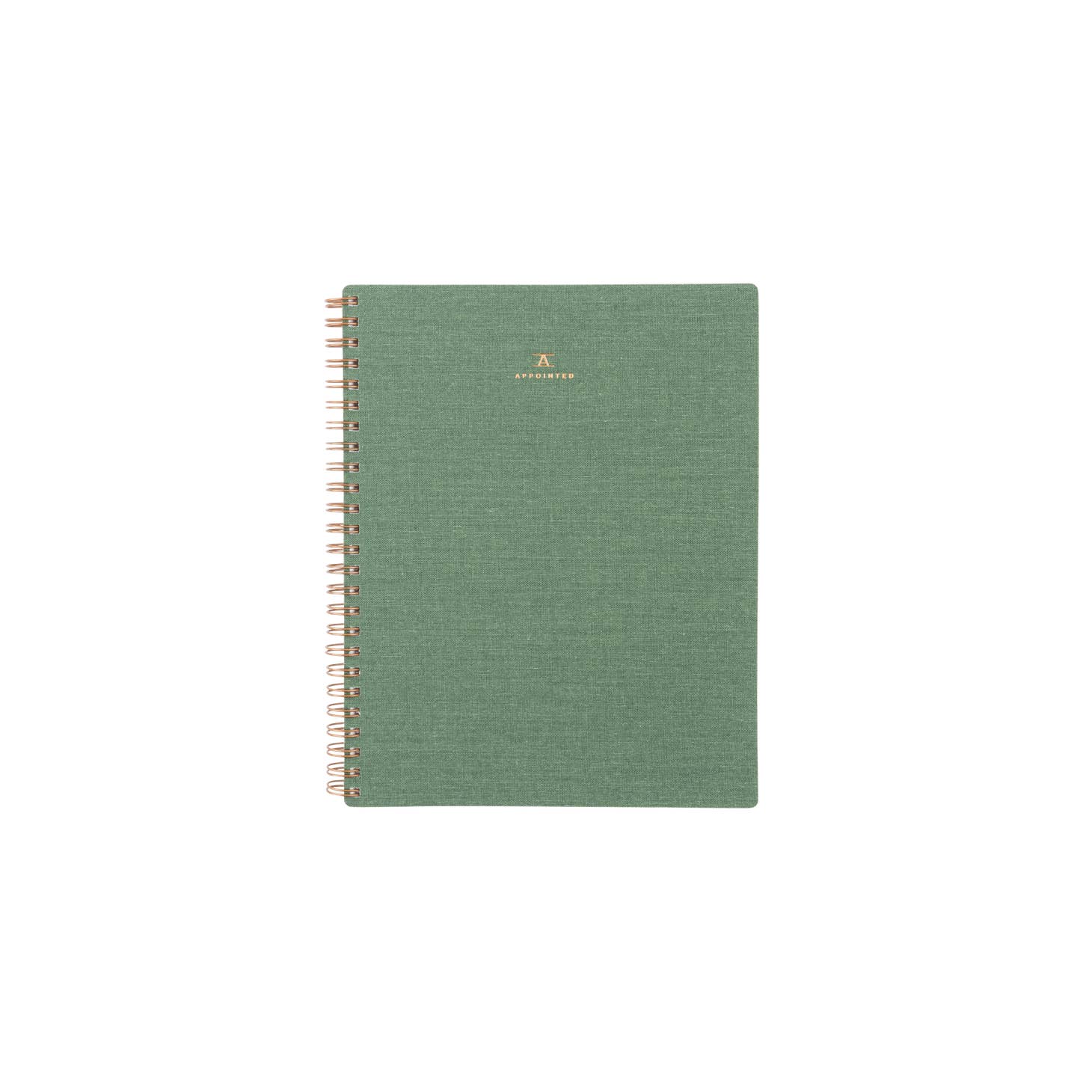 The Workbook, Fern Green