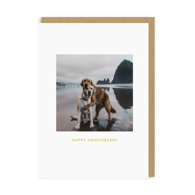 Happy Anni Beach Dogs