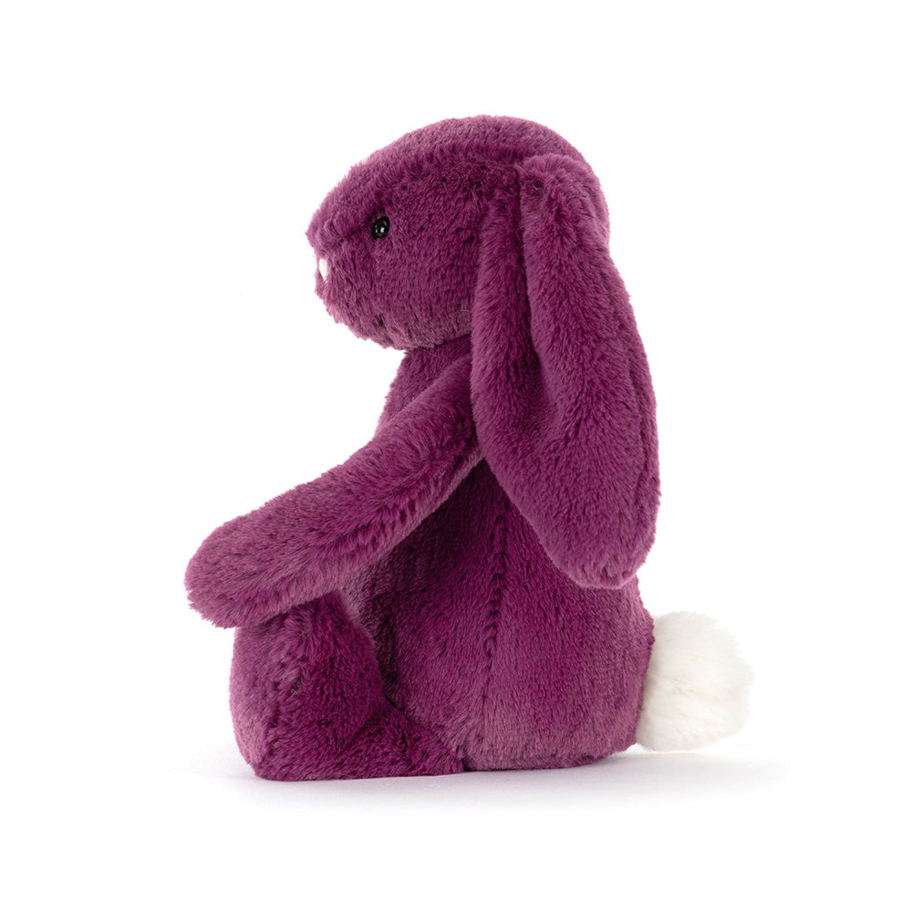 Bashful Allium Bunny, Little