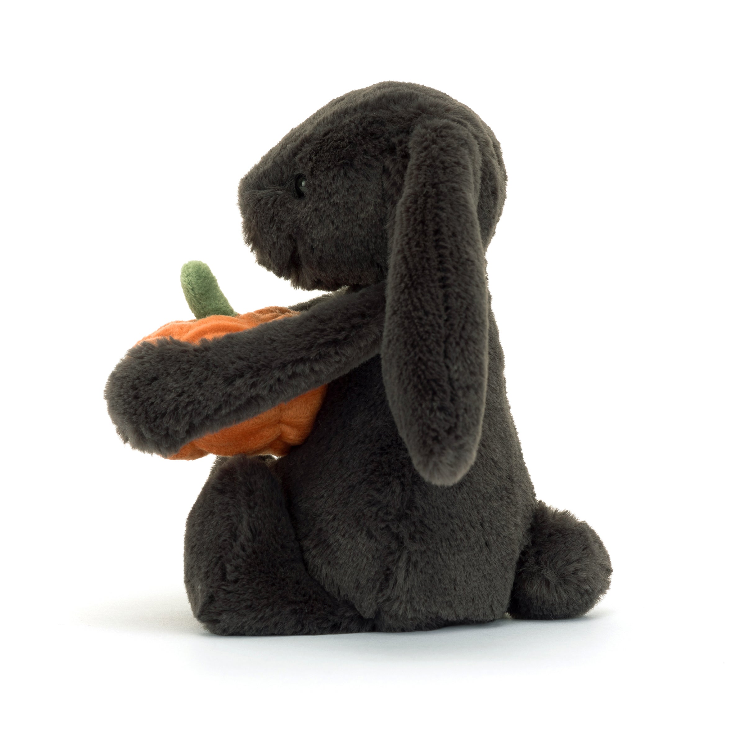 Bashful Pumpkin Bunny, Little