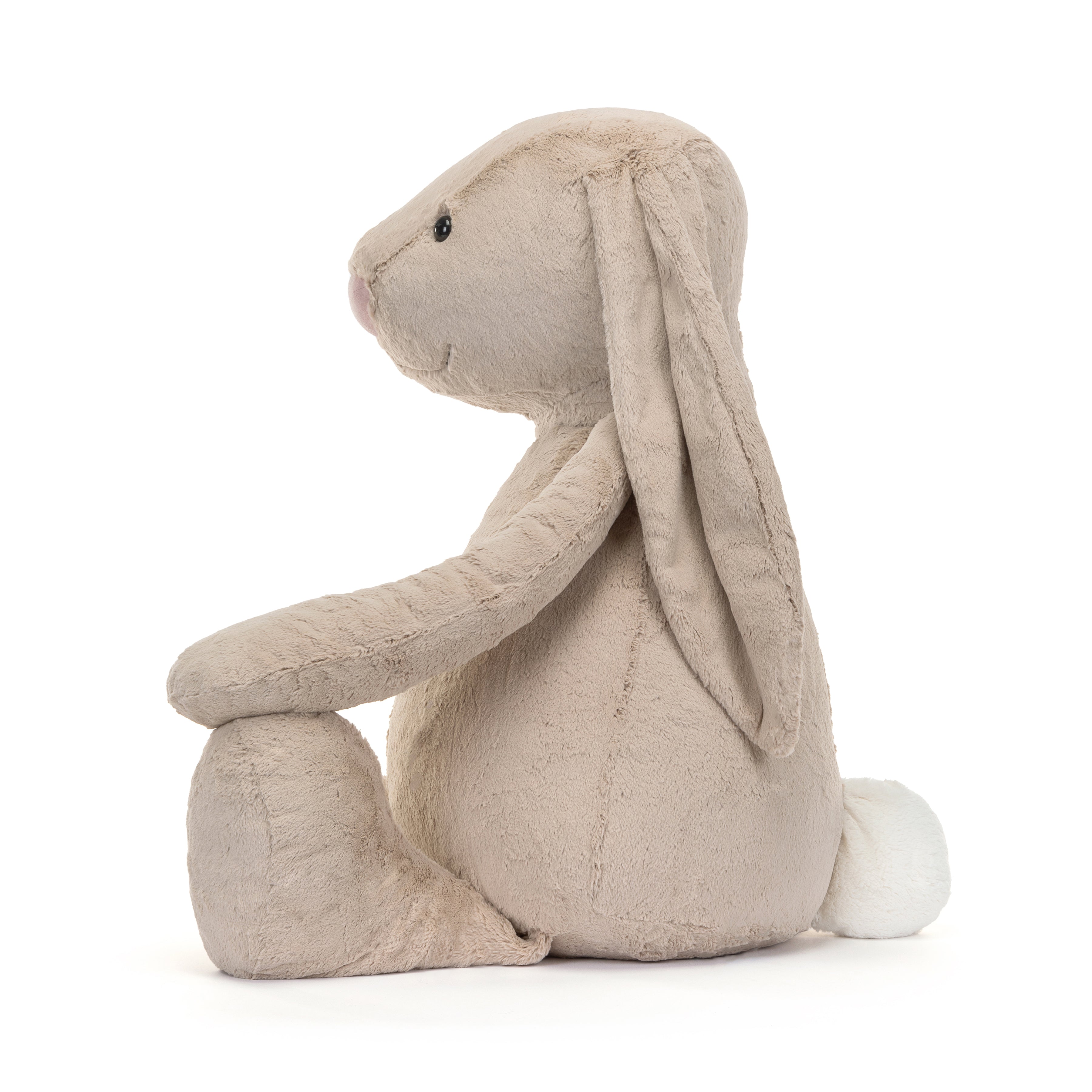 Bashful Beige Bunny, Gigantic