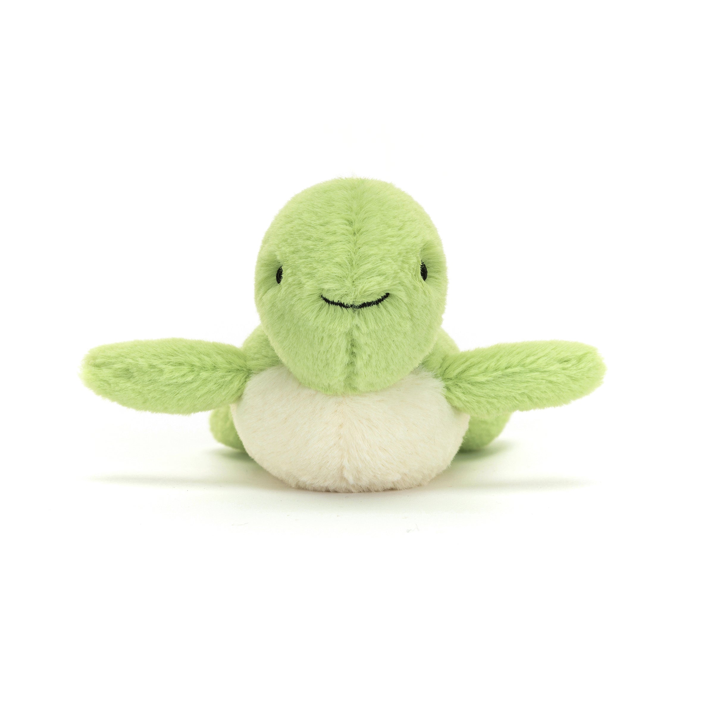 Fluffy Turtle