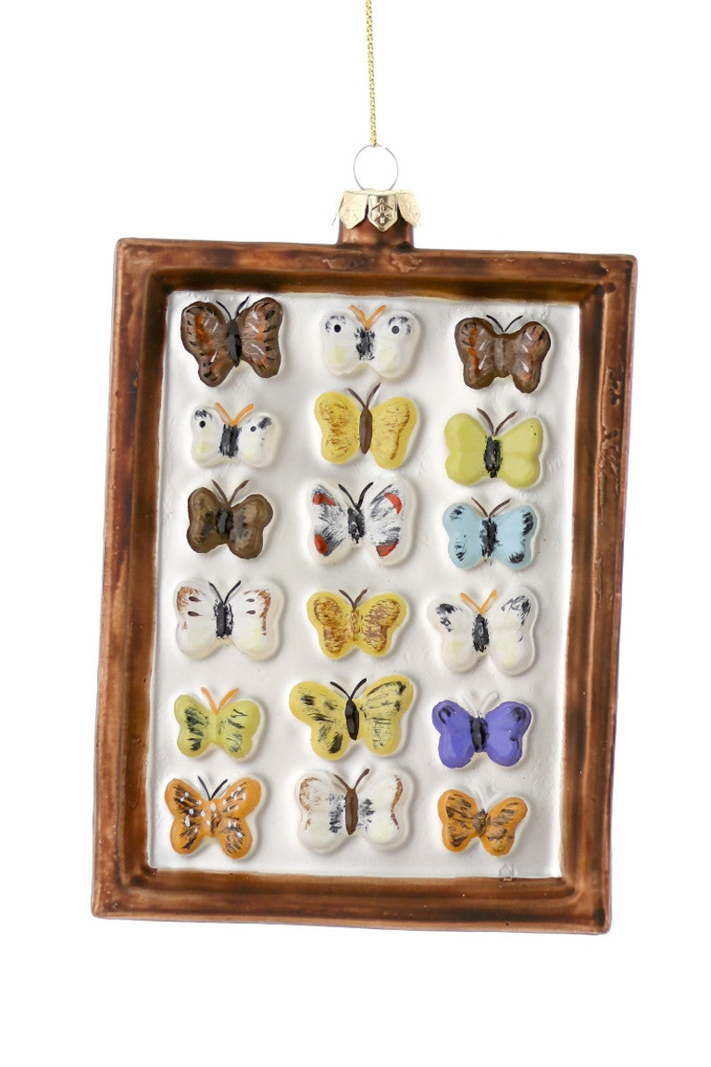 Framed Butterfly Curiosity Ornament