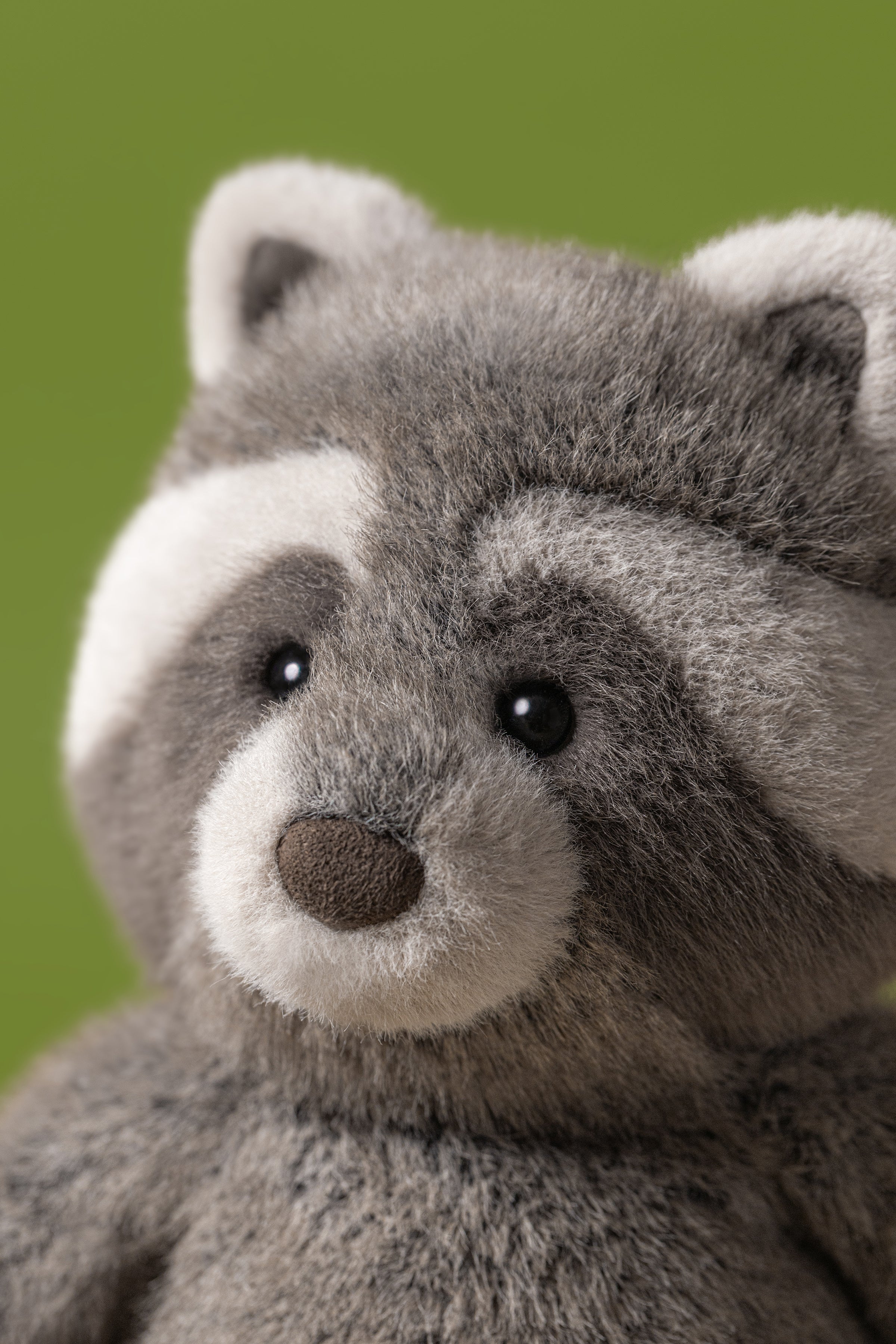 Trixiwoo Raccoon