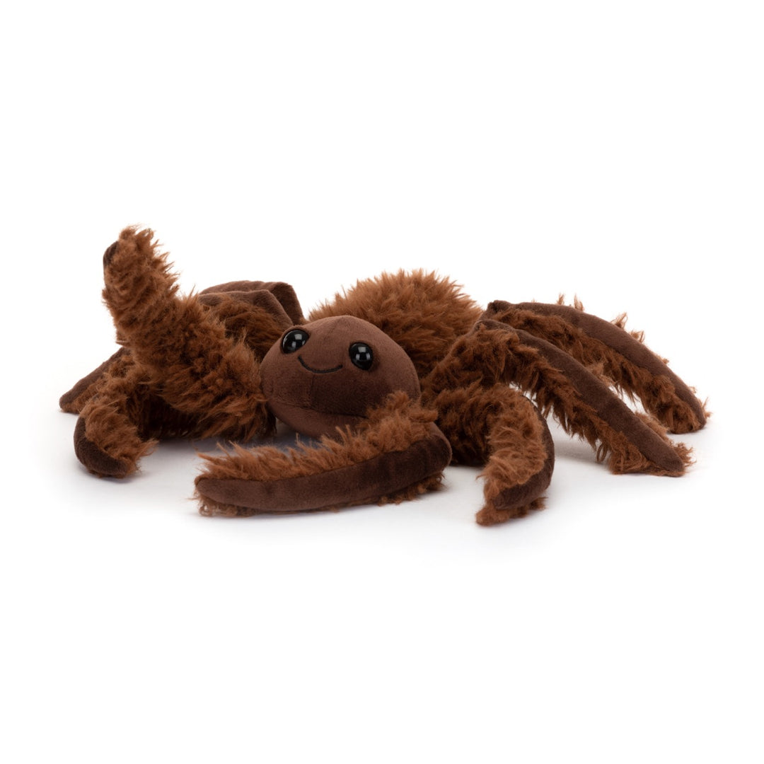 Spindleshanks Spider, Small