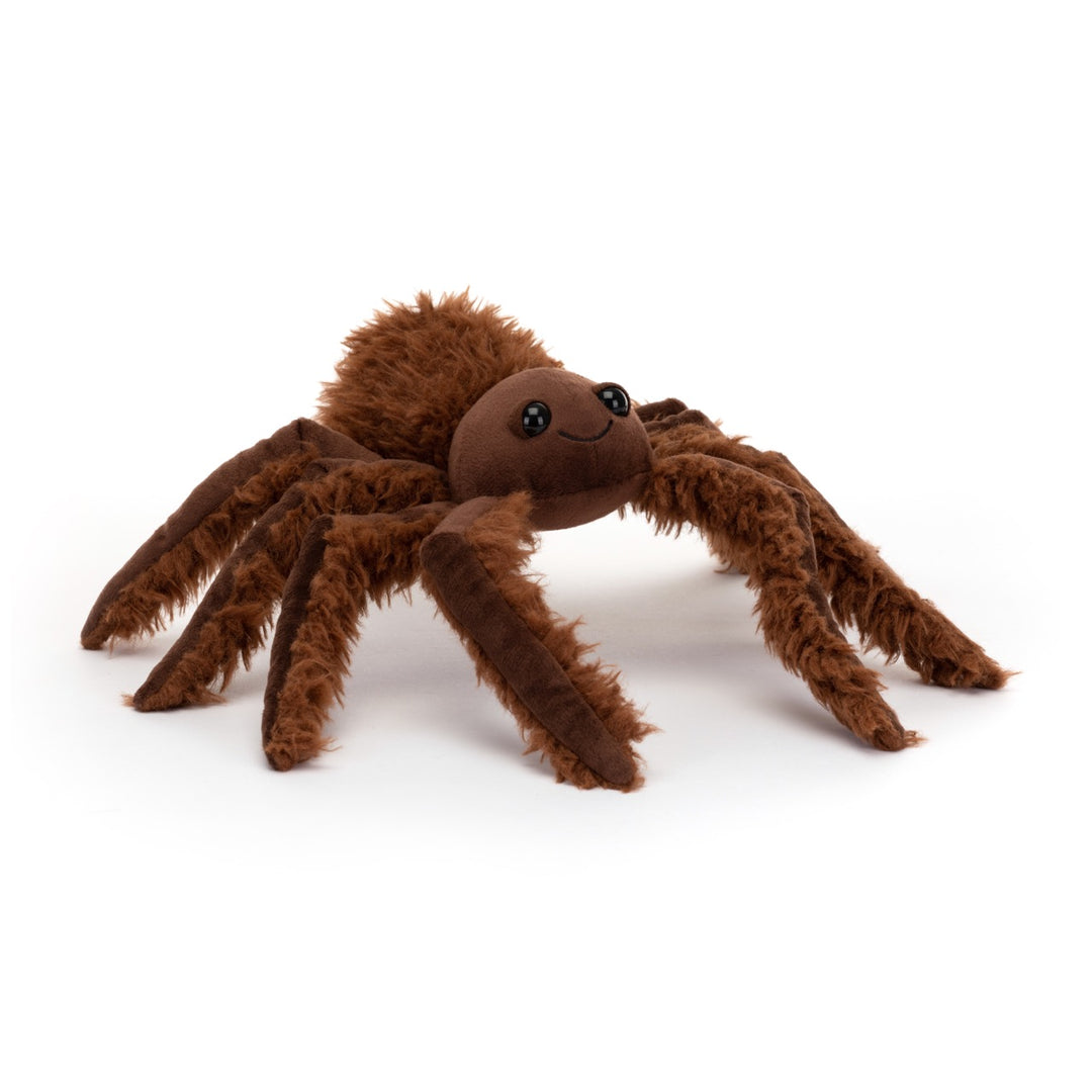 Spindleshanks Spider, Small