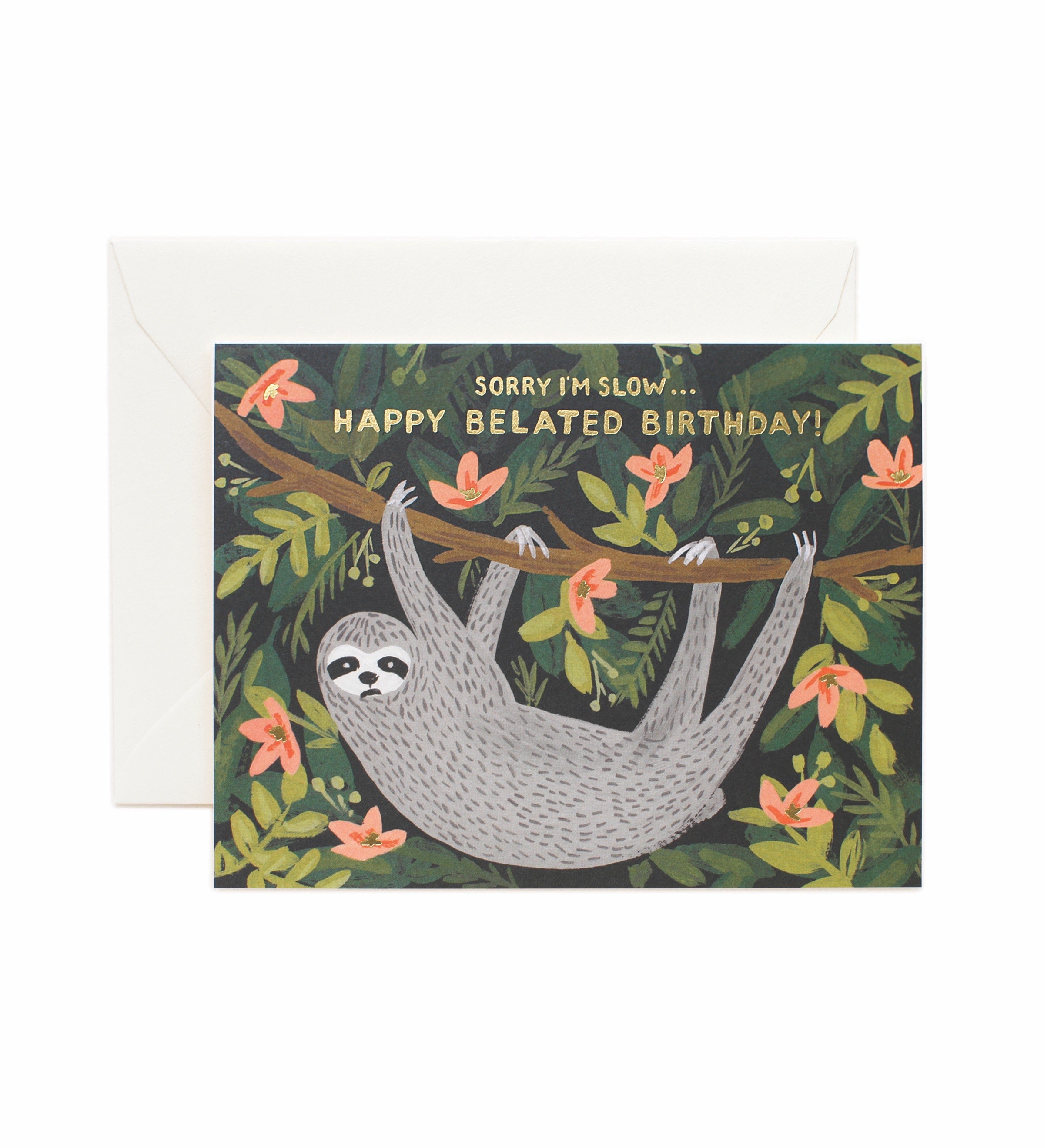 Sloth Belated Birthday