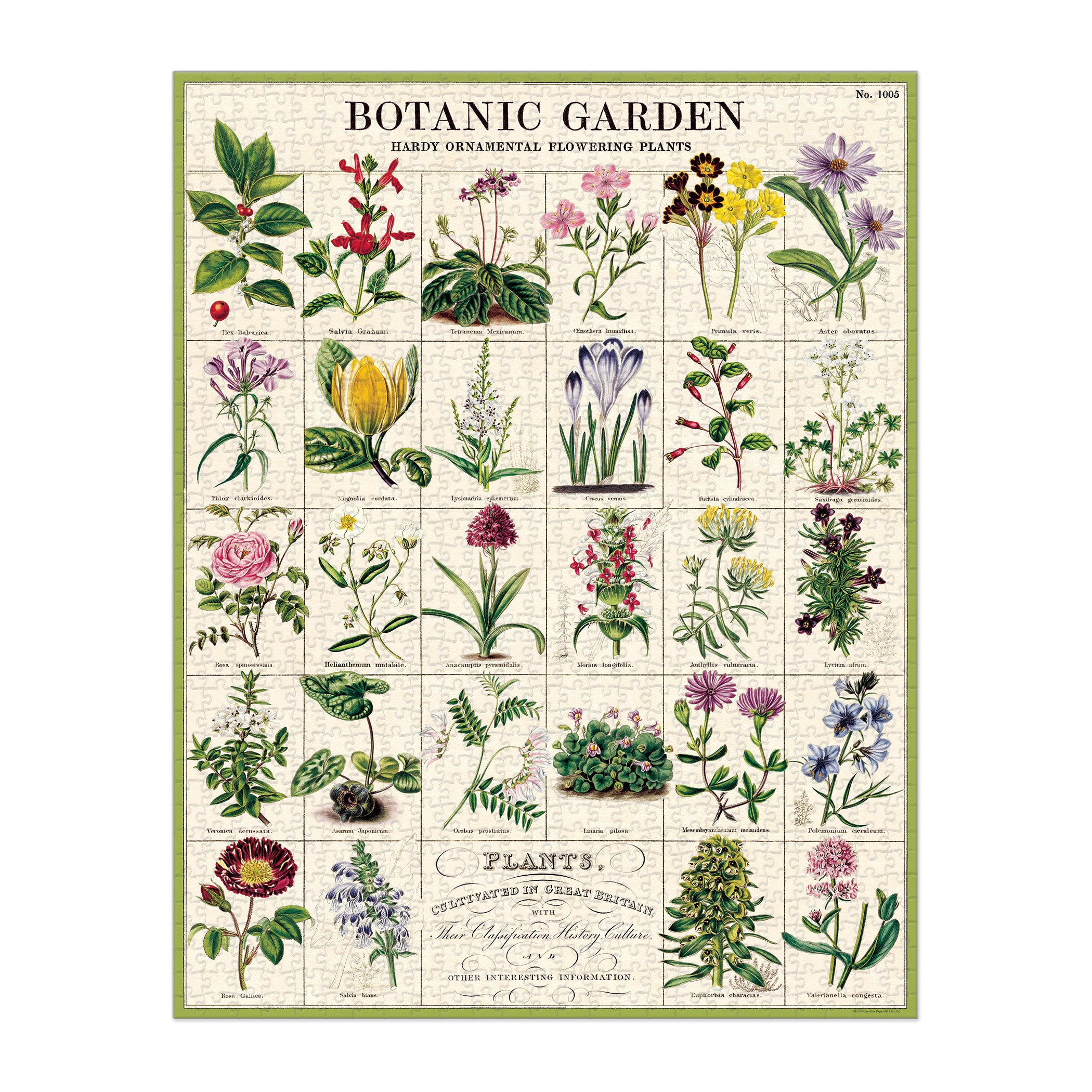 Botanic Garden 1000 Piece Puzzle