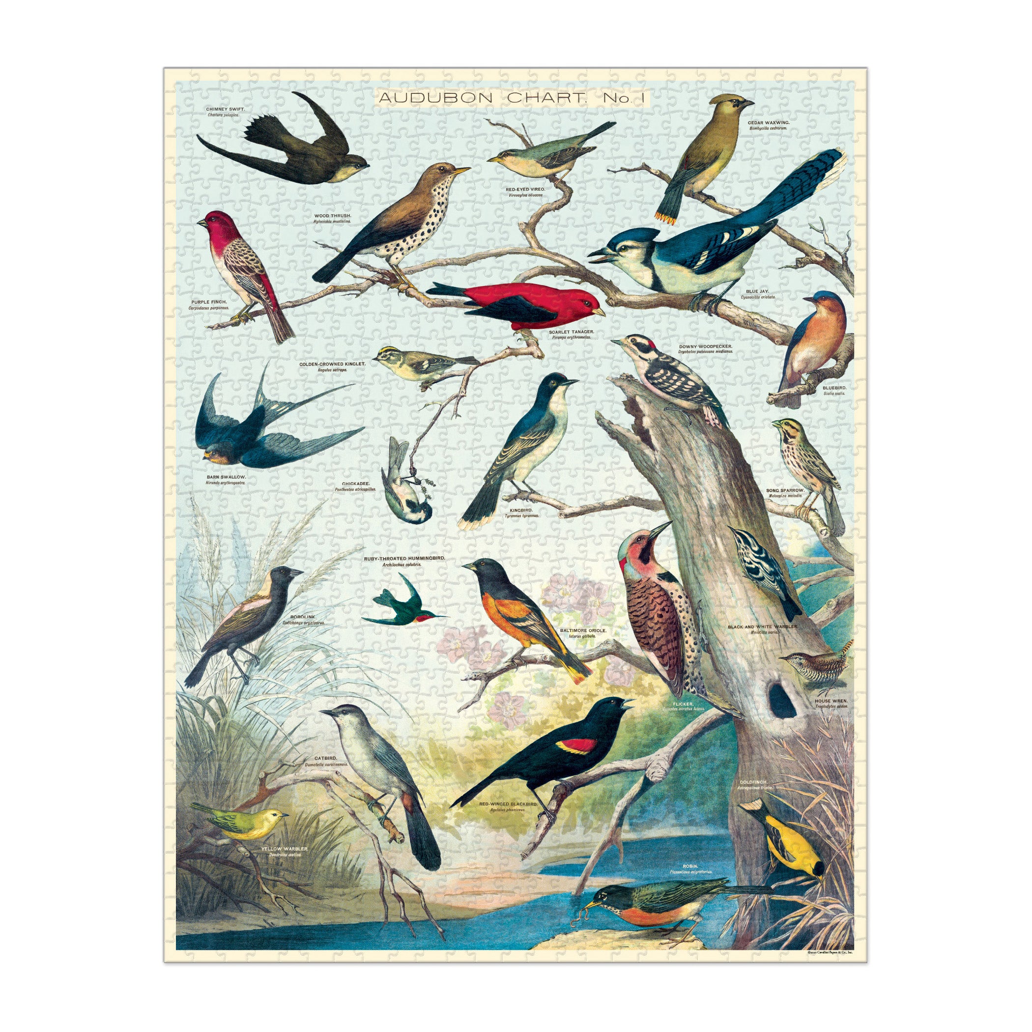 Audubon Birds 1000 Piece Puzzle