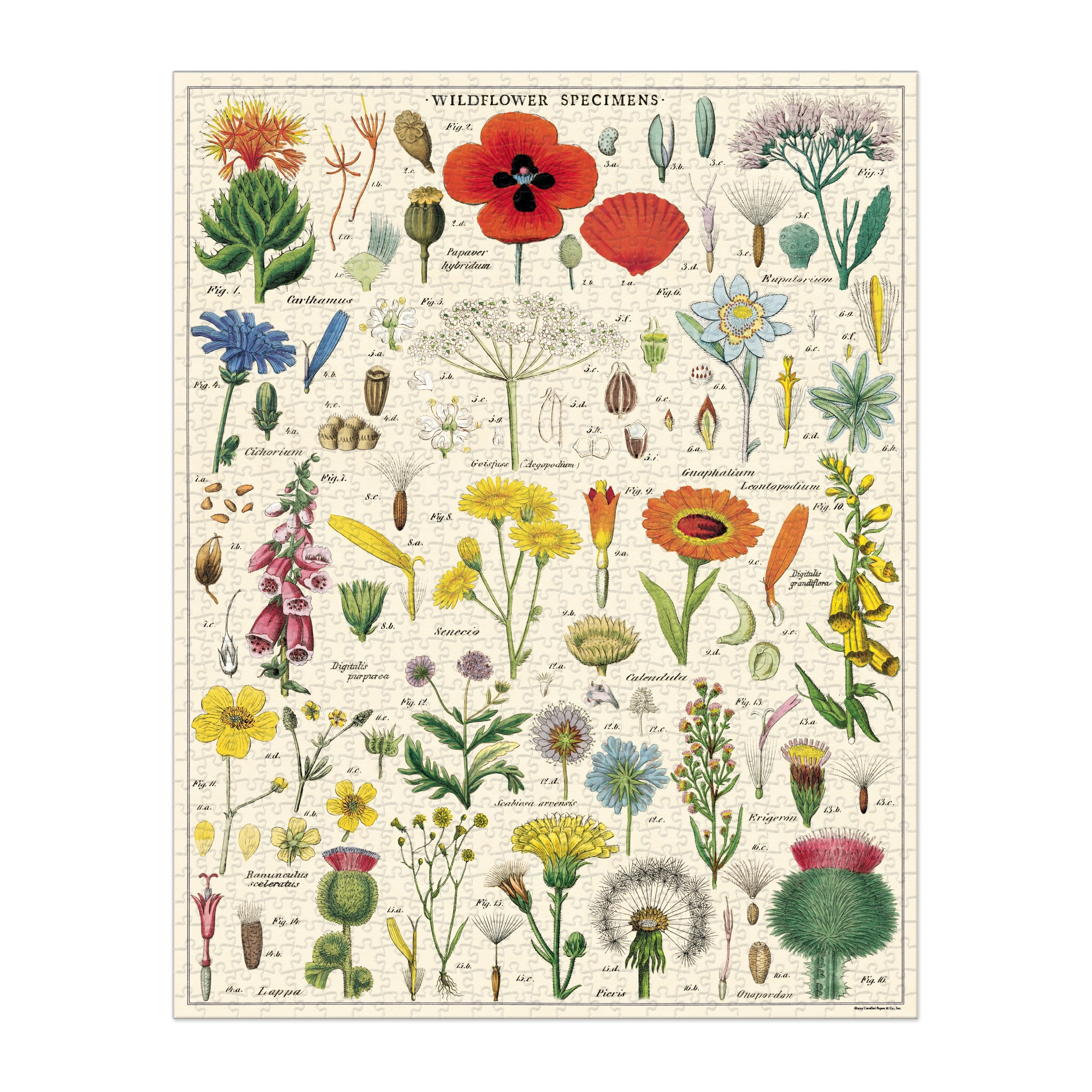 Wildflowers 1000 Piece Puzzle