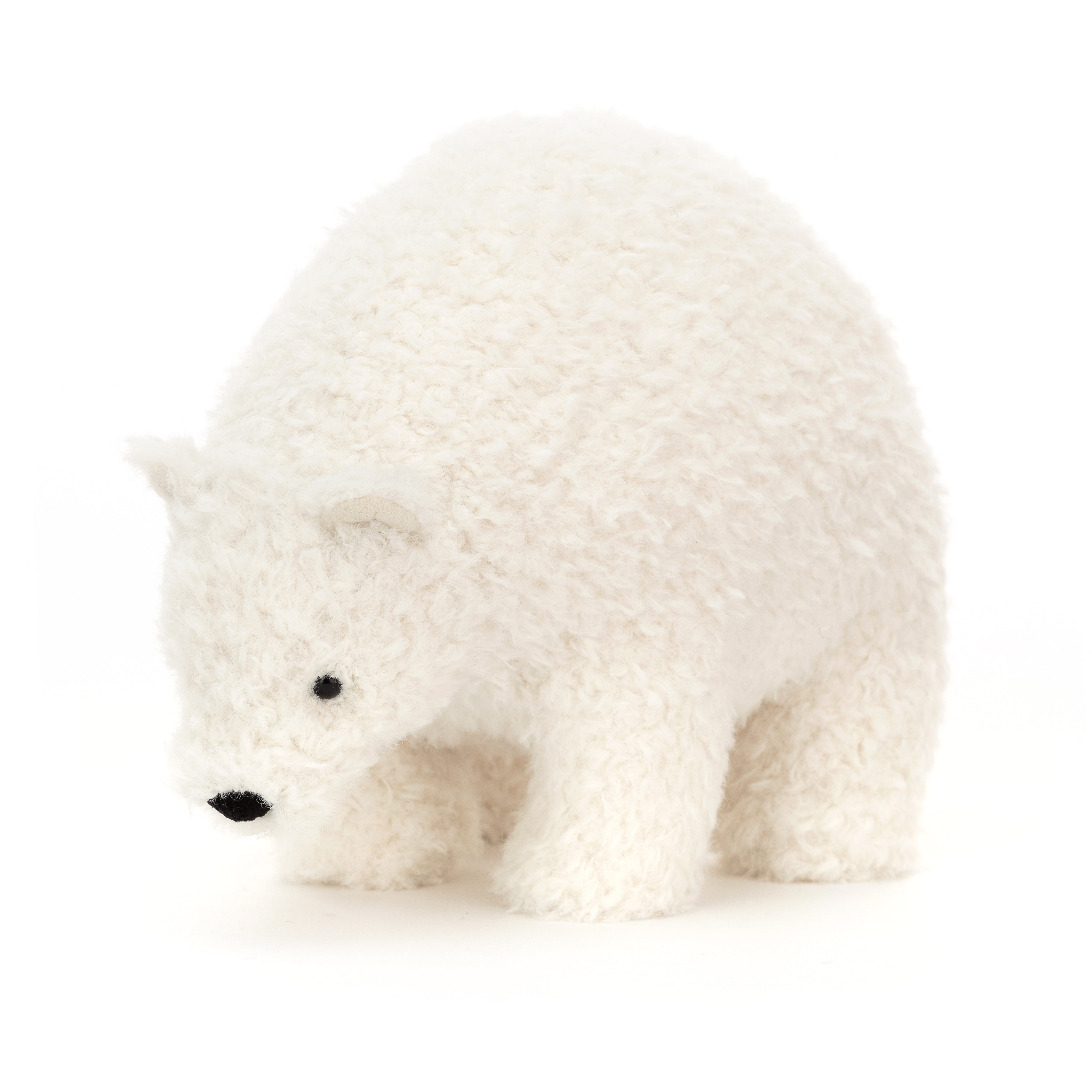 Wistful Polar Bear