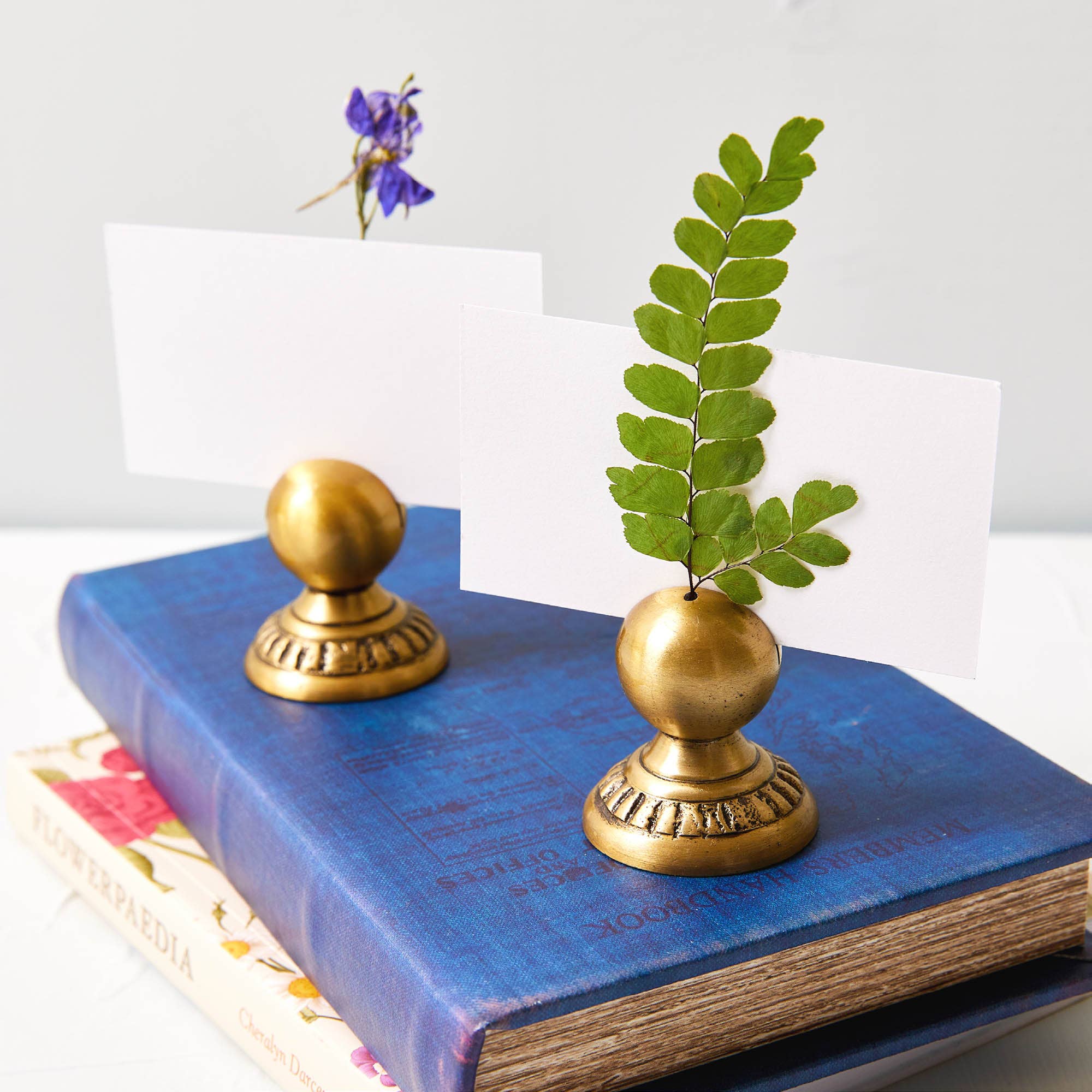 Place Card Holders