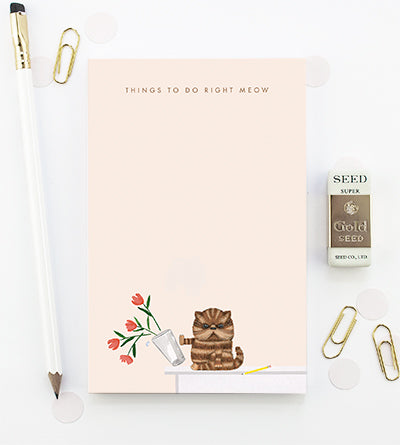 Things To Do Right Meow Notepad